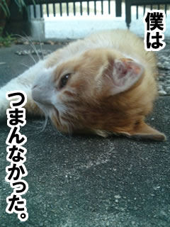 つまんなかった
