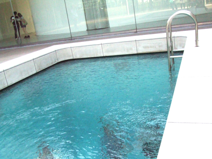 DSCF3466.JPG