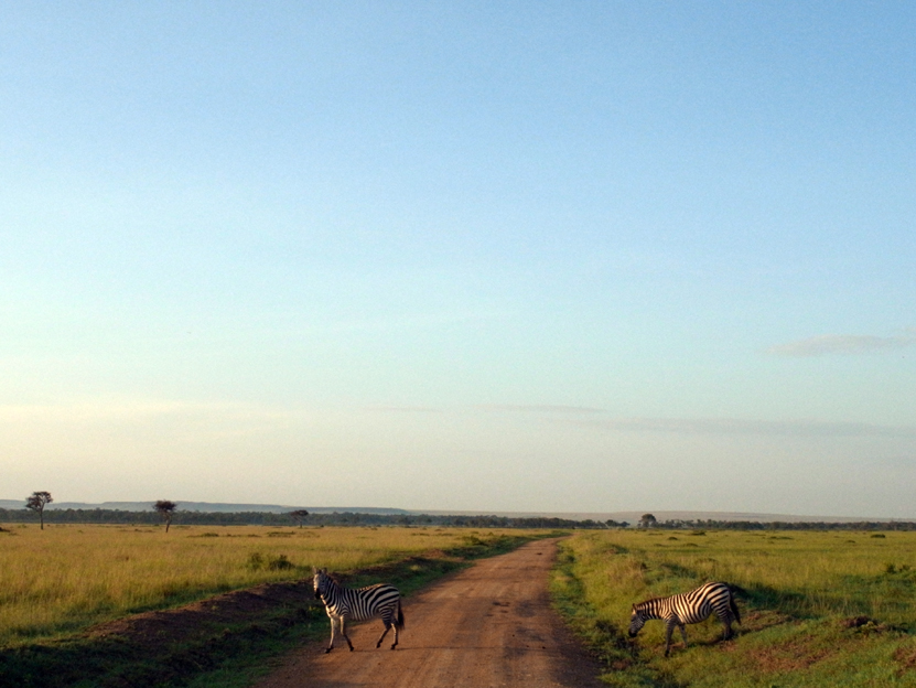 R0010845.JPG