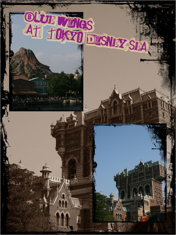 20091104画像