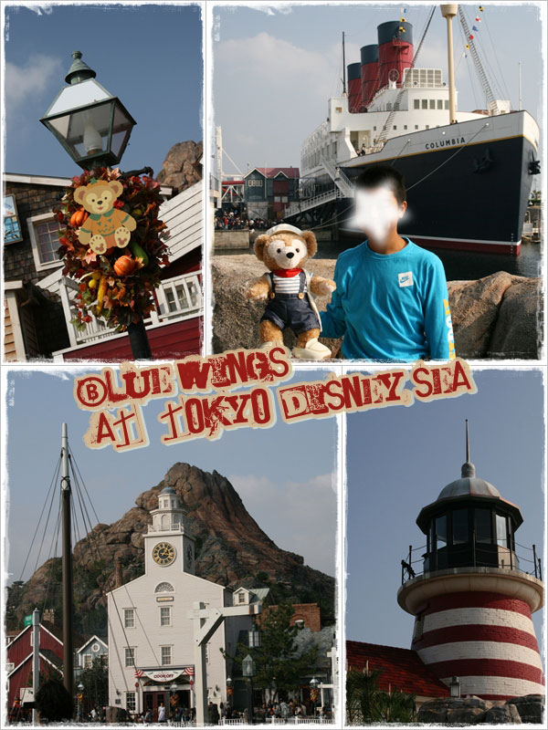 20091104画像