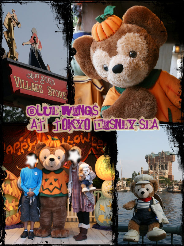 20091104画像