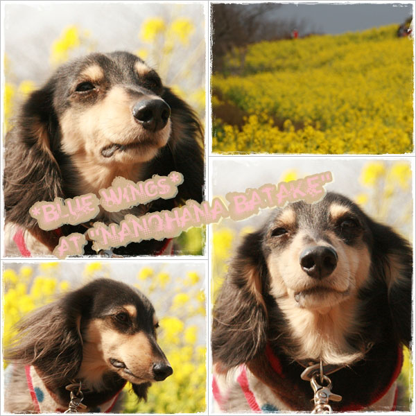 20100505画像