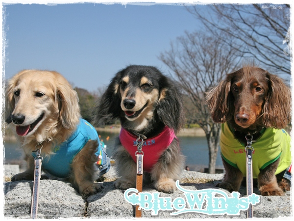 2011110903画像