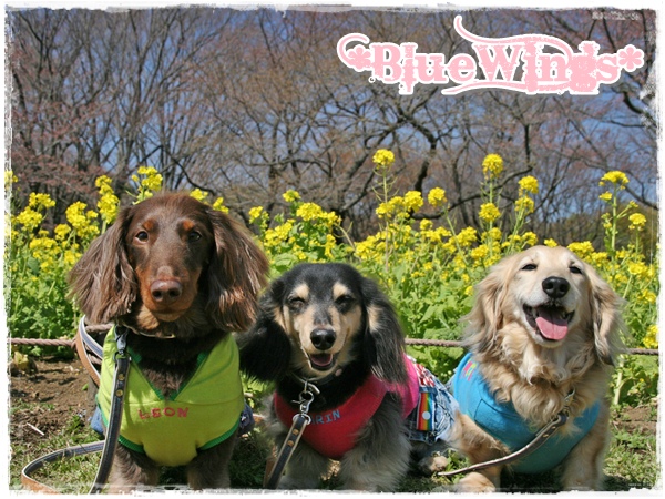 2010110909画像