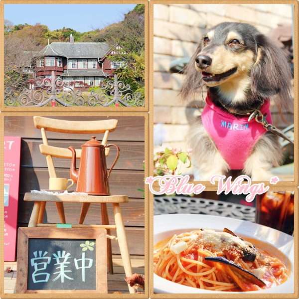 2010121104画像