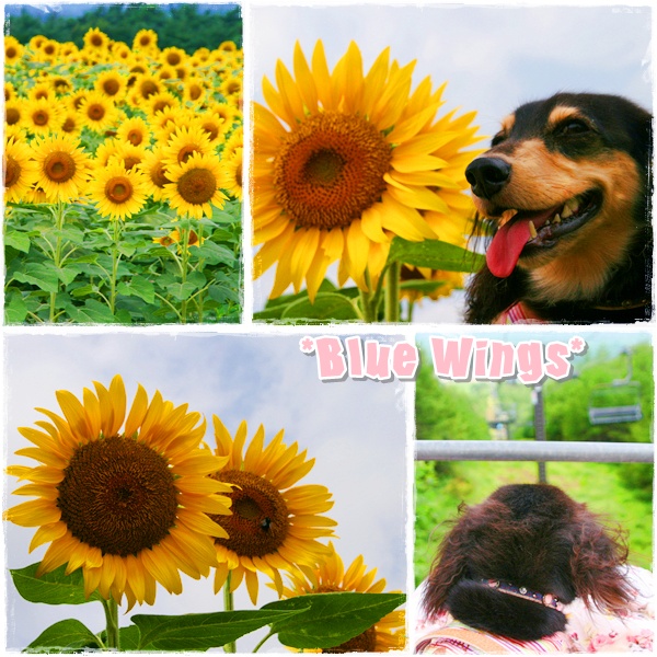 2010122105画像