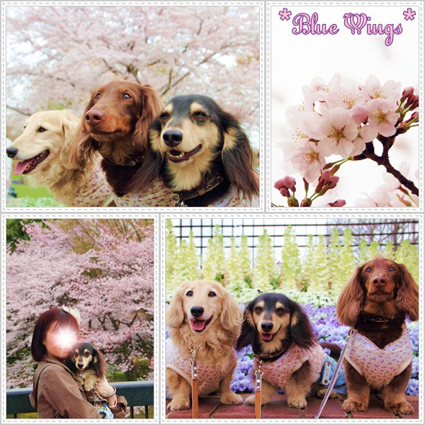 2011051306画像