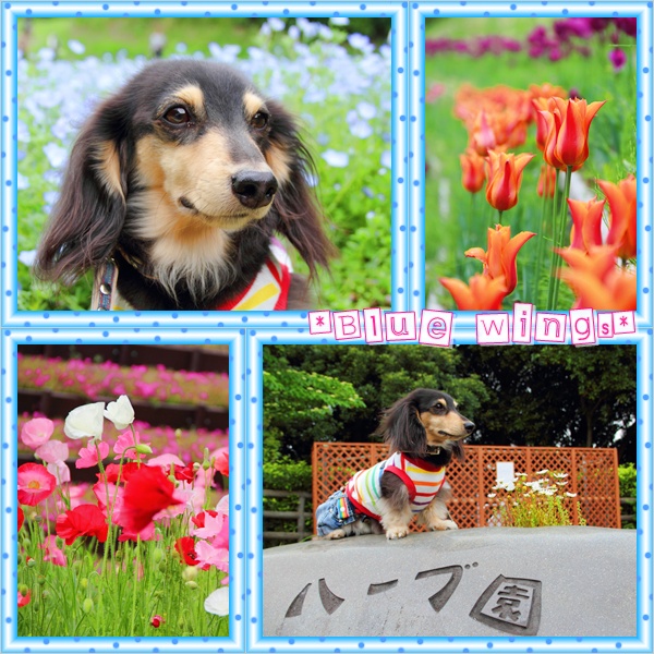 2011051904画像