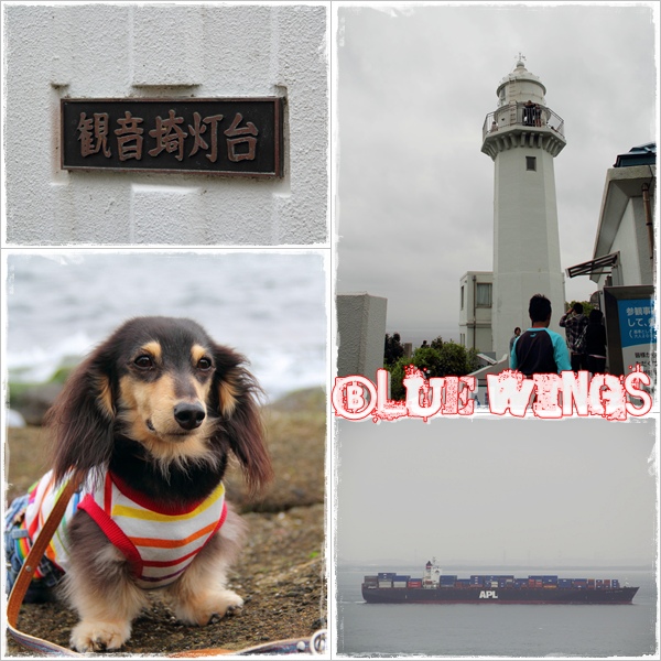 2011051911画像