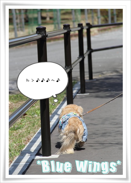 2011060503画像