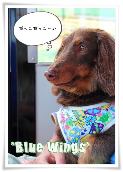 2011060504画像