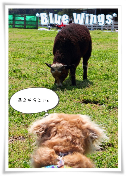 2011060505画像