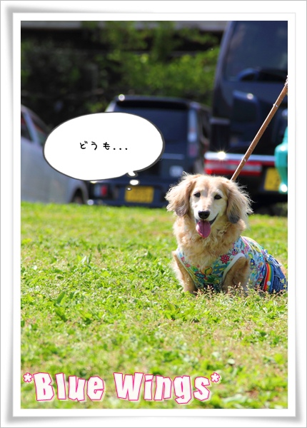 2011060506画像