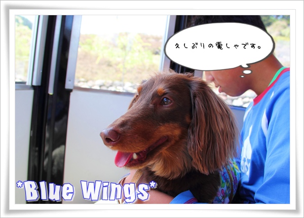 2011060507画像