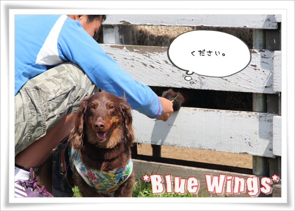 2011060510画像