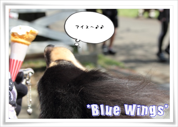 2011060511画像