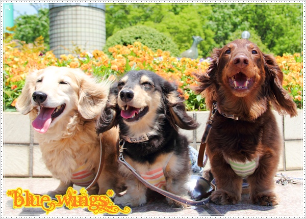 2011082002画像