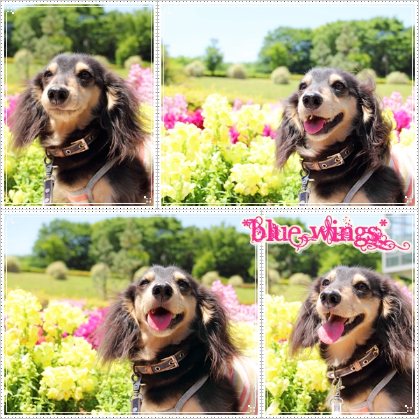 2011082003画像