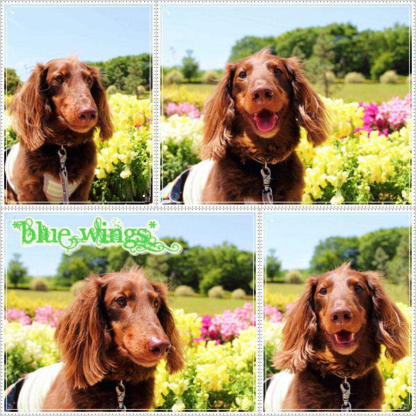 2011082004画像
