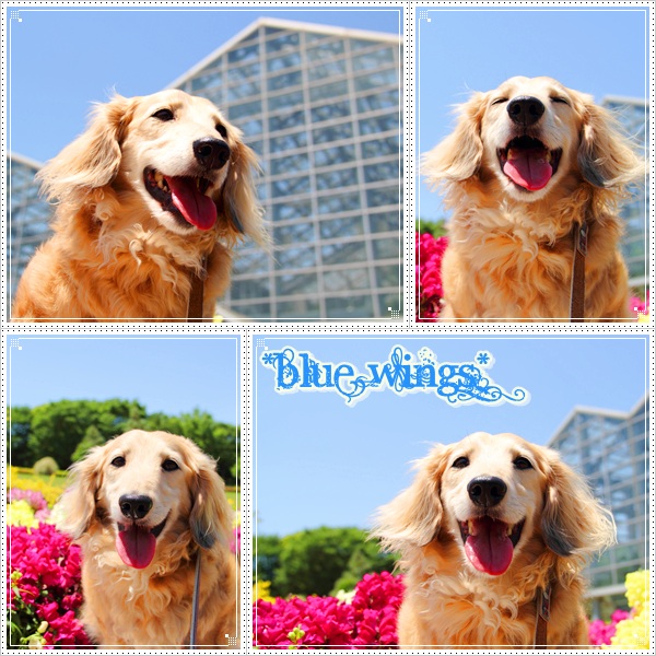2011082005画像