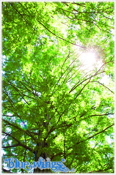 2011082010画像