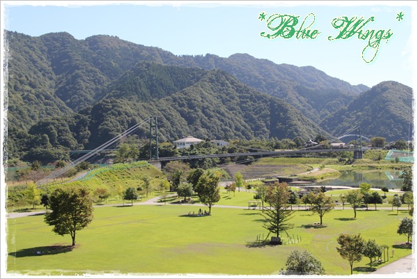 2011102902画像