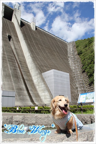 2011102906画像