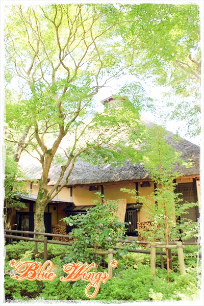2011102911画像