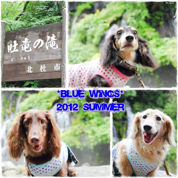 2012081905画像