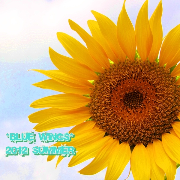 2012081907画像