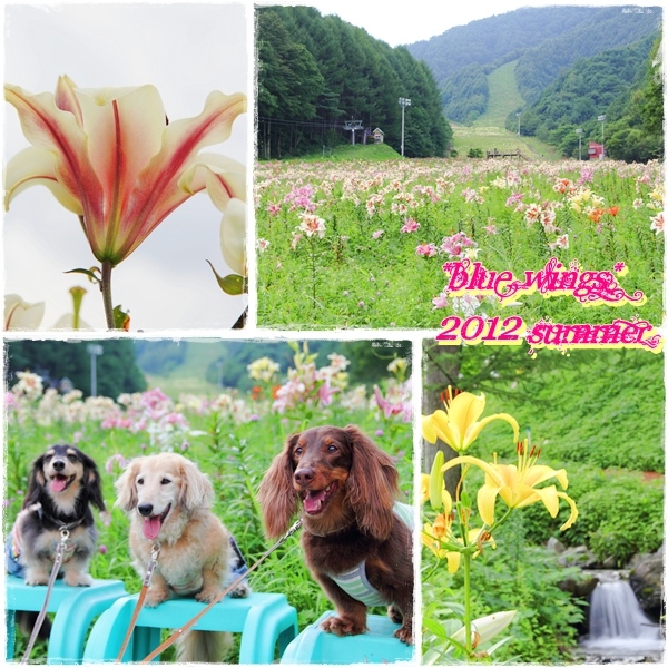 2012082607画像