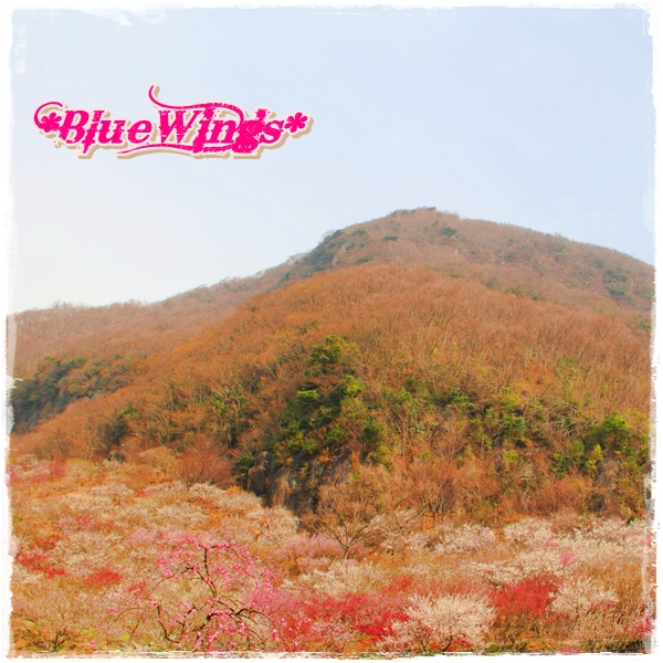 2013031902画像