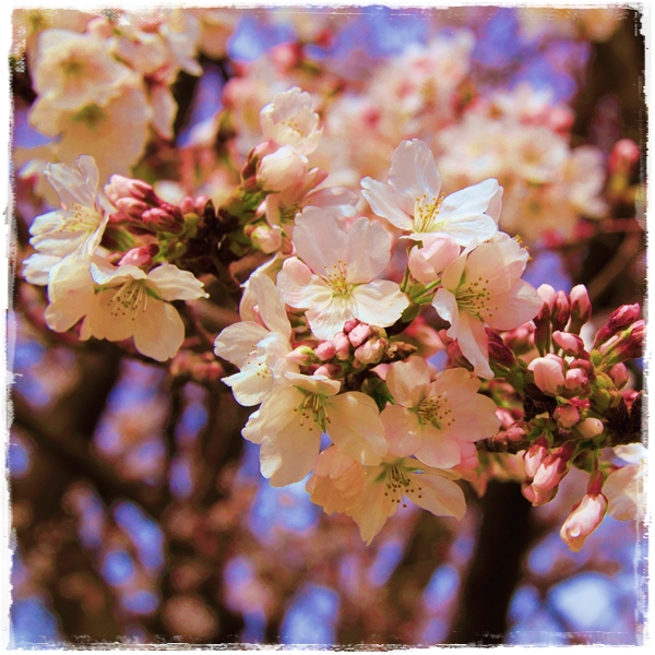 2013032402画像