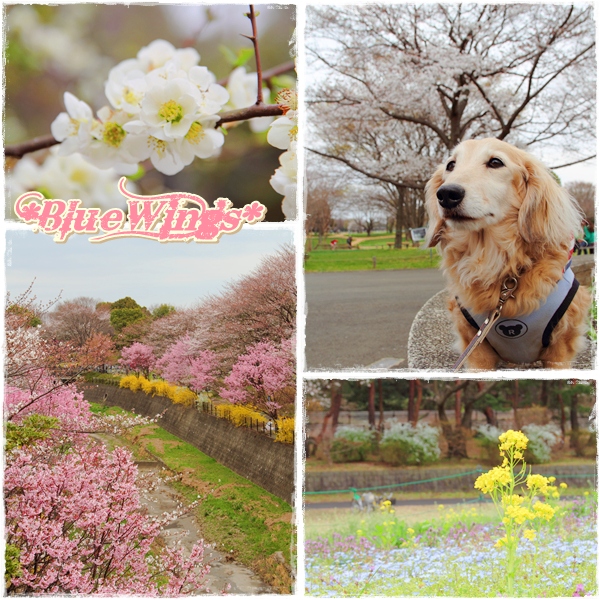 2013032405画像