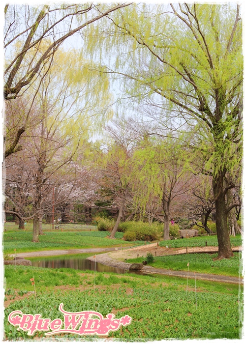 2013032406画像