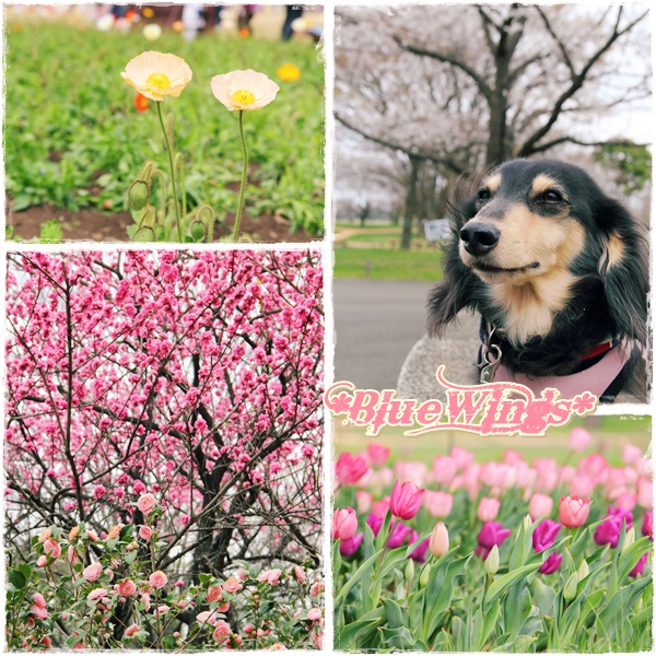 2013032408画像