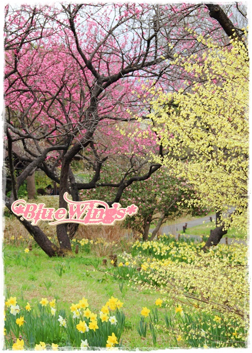 2013032410画像