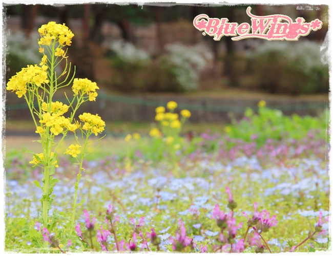 2013032412画像