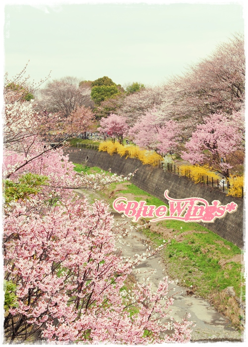 2013032416画像