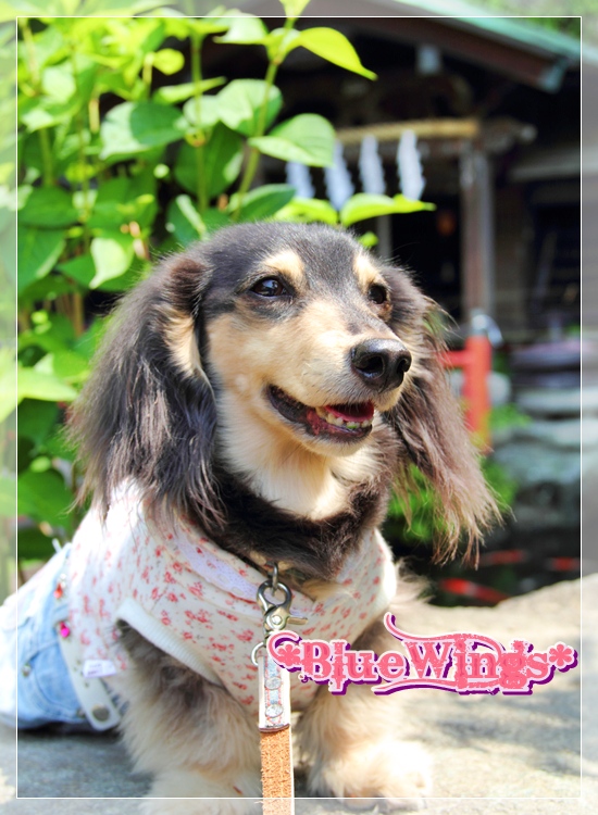 2013050203画像