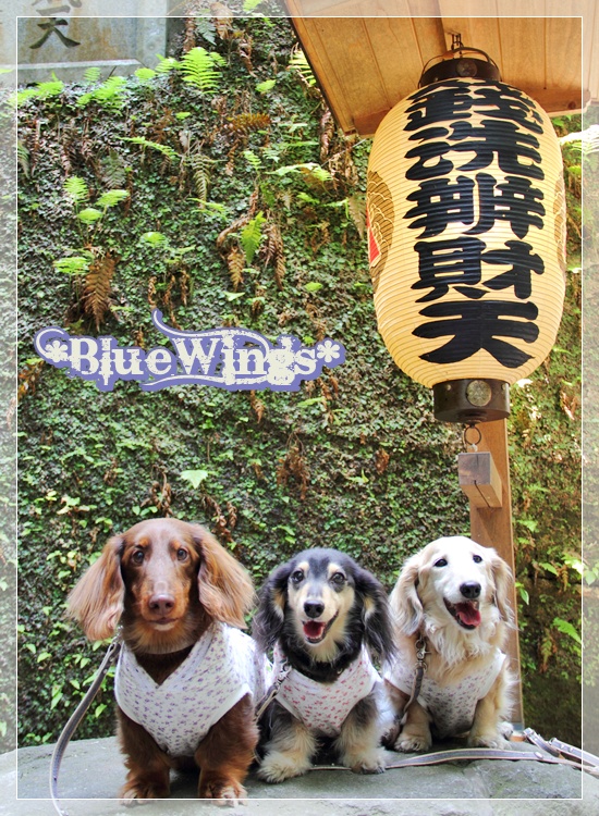 2013050205画像
