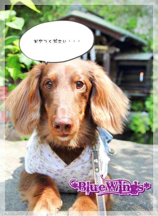 2013050209画像
