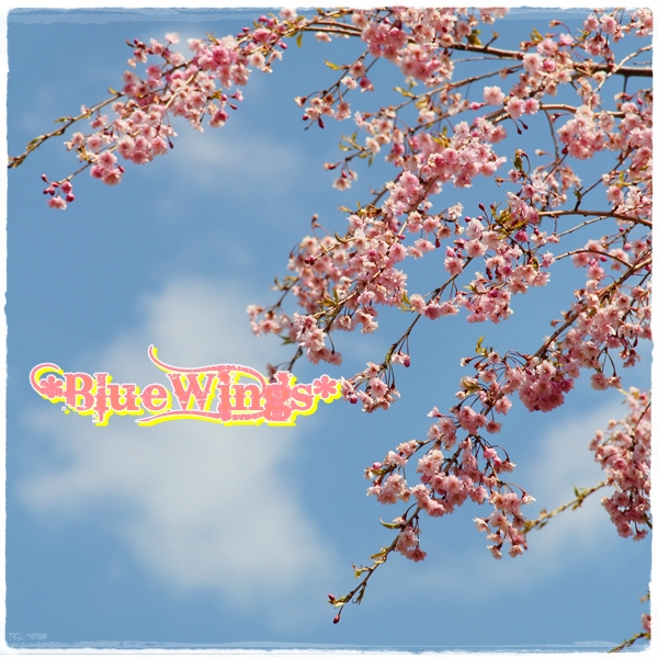 2013050602画像