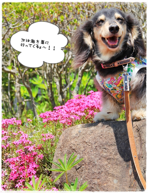 2013050615画像