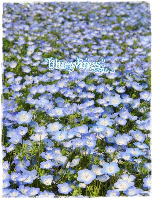 2013050807画像