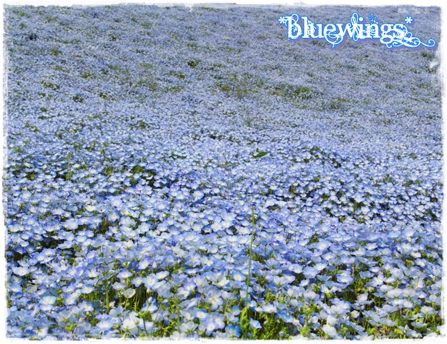 2013050809画像