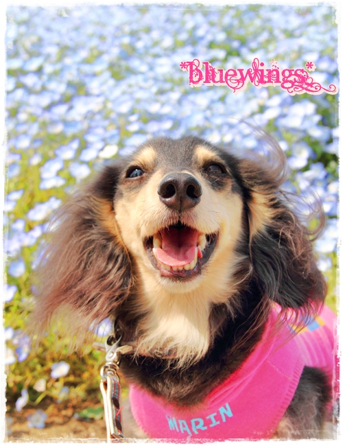 2013050811画像