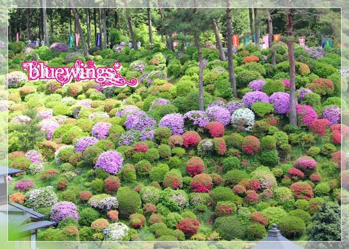 2013051908画像