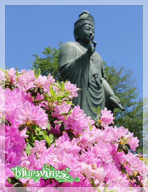 2013051914画像